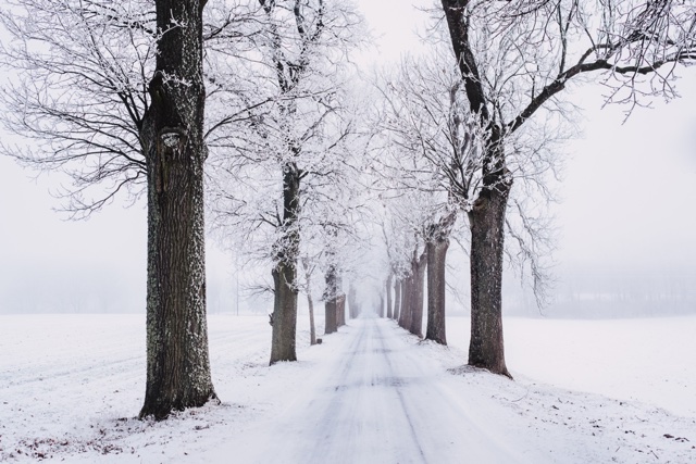 Snowy Winter Road
